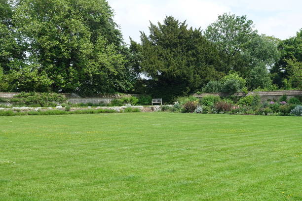 istock Garden Lawn and Leafy Trees 1368099994
