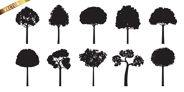 Collection Of Realistic Black Trees Vector Illustration Isolated On ...
