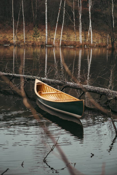 istock A beautiful green canadian canoe floating on the forest lake. 1368100924