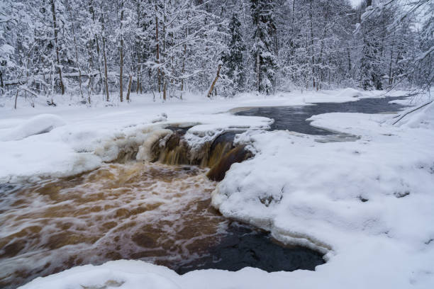 istock Non-freezing running river in snowy forest on gloomy cold winter day 1368101304
