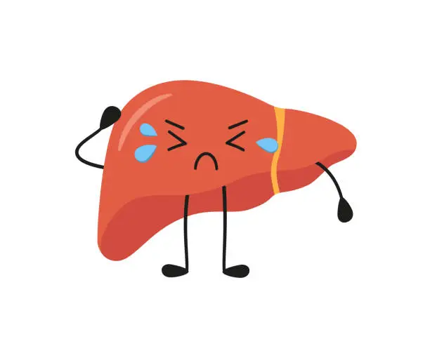 Sick sad liver character. Kawaii liver character. Vector isolated illustration in flat and cartoon style on white background Sick sad liver character. Kawaii liver character. Vector isolated illustration in flat and cartoon style on white background. Liver Health  cartoon stock illustrations