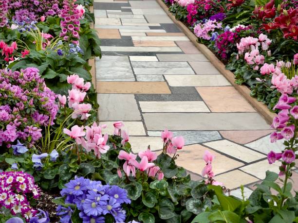 istock Tropical flower garden walkway 1368114186