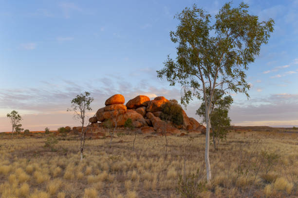 istock sunset shot of the devil's marbles boulders and a gum tree 1368115452
