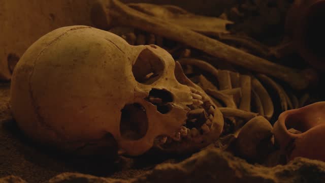 Real skeleton of human body lying on ground at dig site