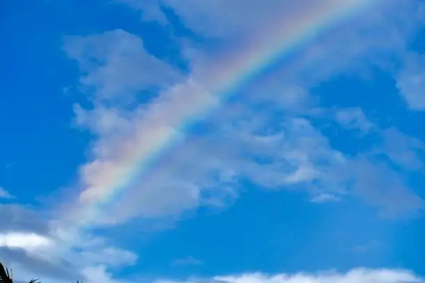 Beautiful colorful tropical rainbow