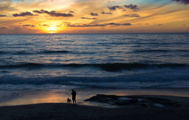 istock Southern CA: Man (and Dog) Contemplating Pacific Ocean at Sunset 1368119394