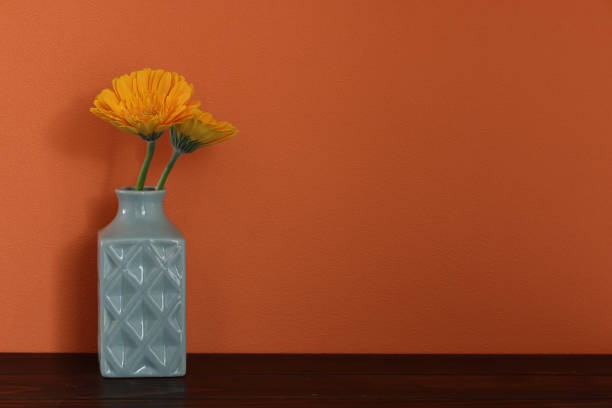 istock Transvaal daisy in a light blue vase isolated on a orange wall. 1368120239
