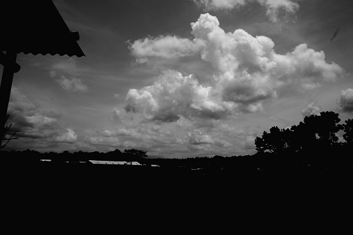 natural scenery in black and white