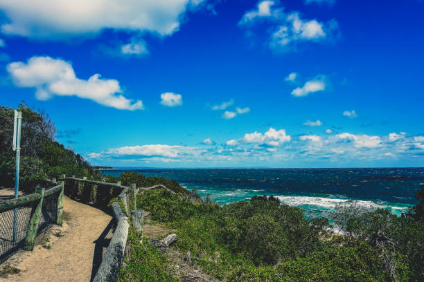 istock View of the Ocean in Australia over some plants. 1368122242