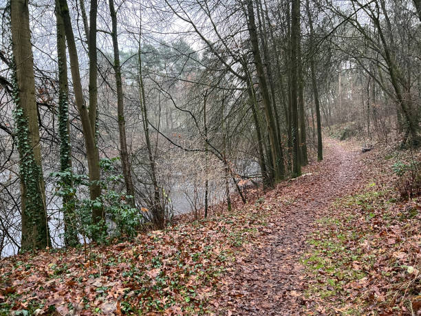istock A path through a forest next to a lake in the town called 