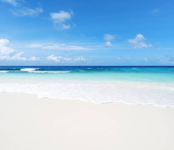 istock Perfect paradise beach and clear sky background 1368128872