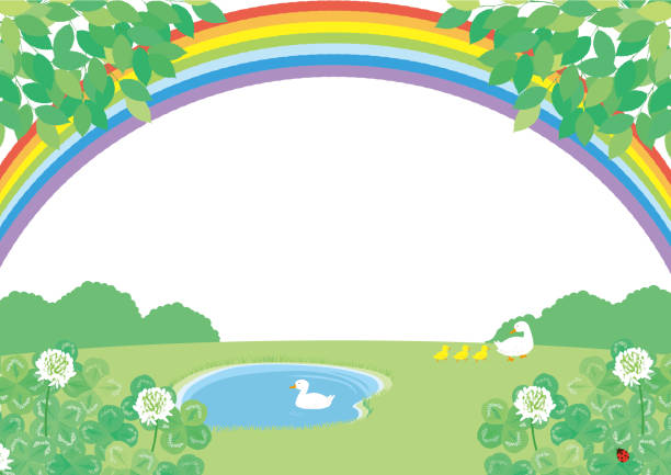 illustrazioni stock, clip art, cartoni animati e icone di tendenza di verde fresco e quadrato con un paesaggio di stagno. - rainbow flower meadow nature