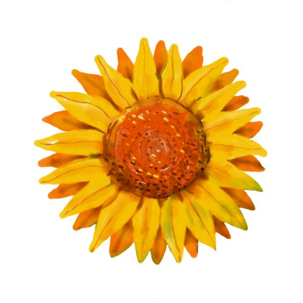 istock Sunflower watercolor illustration on white background. 1368133815