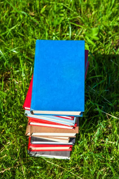 Pile of the Books with Blank Cover on the Grass