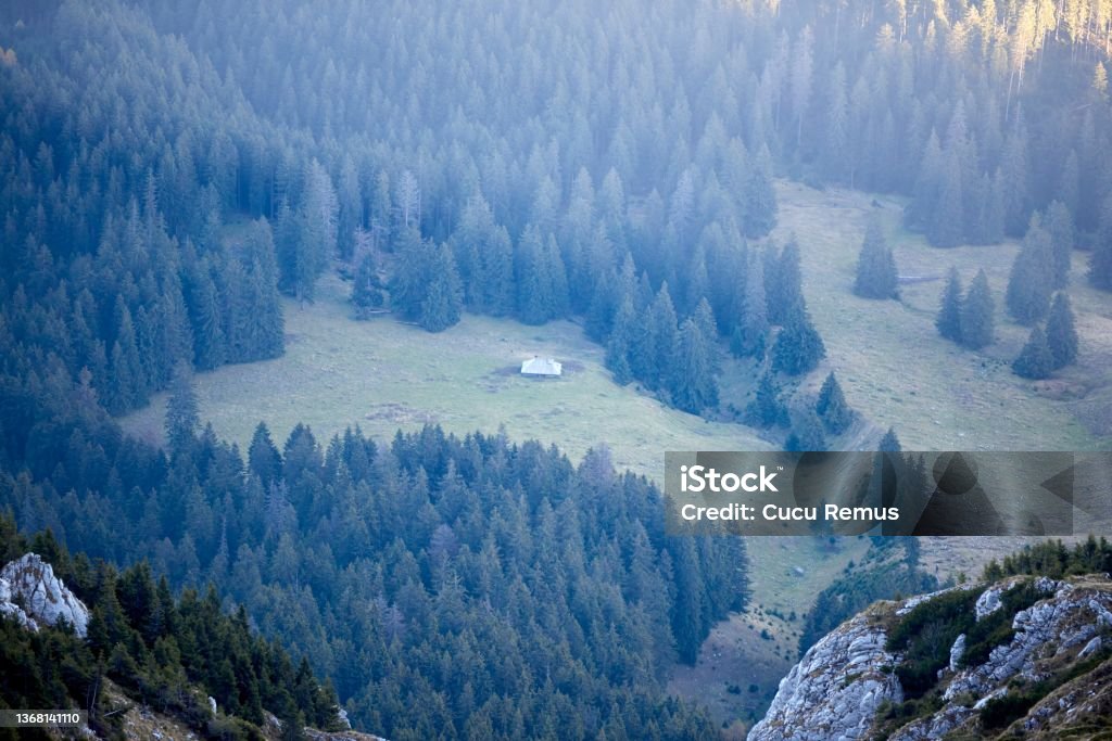 Wonderful mountain landscape. Green mountain slopes with fir trees and sunny glades. View from above. Beauty Stock Photo