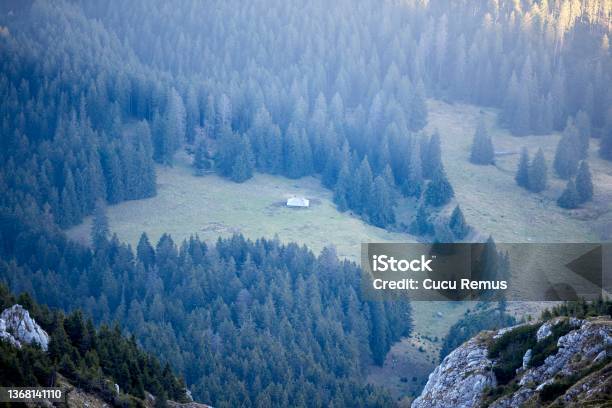 Wonderful Mountain Landscape Green Mountain Slopes With Fir Trees And Sunny Glades View From Above Stock Photo - Download Image Now