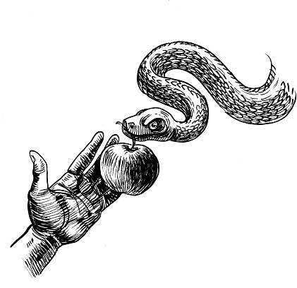 Ink black and white drawing of a hand taking apple fruit from the snake