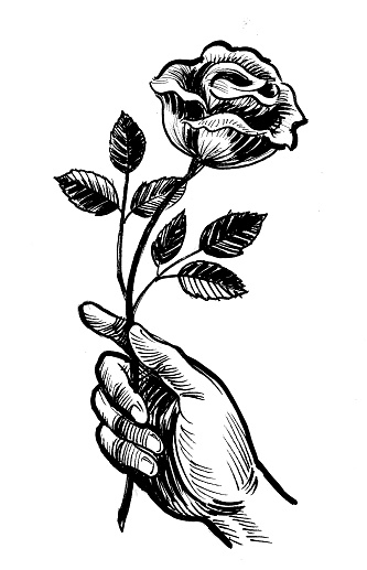 Ink black and white drawing of a hand holding a rose flower