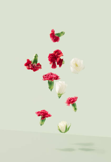 istock Roses and Pinks flowers floating over the pastel green background. 1368146455