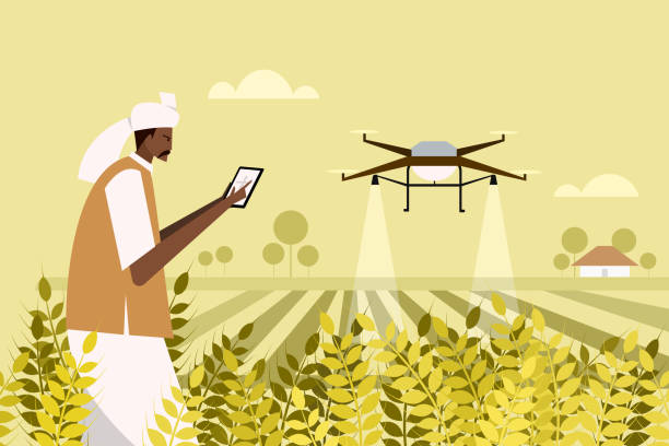 An Indian farmer using a drone for spraying fertiliser in the agricultural field An Indian farmer using a drone for spraying fertiliser in the agricultural field precision agriculture stock illustrations