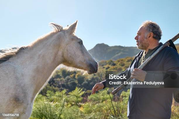 Mature Bearded Man Meeting White Horse While Hiking In Rural Pasture Friendship And Relationship Concept Well Being And Unity With Nature Road To Mountain Stock Photo - Download Image Now