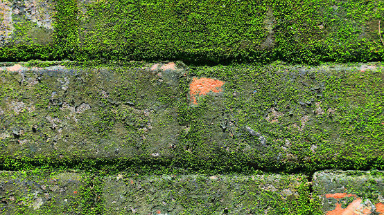 wallpaper background bricks mossed walls of textured footpath