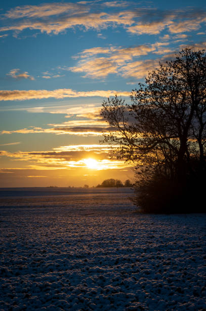 Sun is rising over snow covered farm fields in southern Sweden