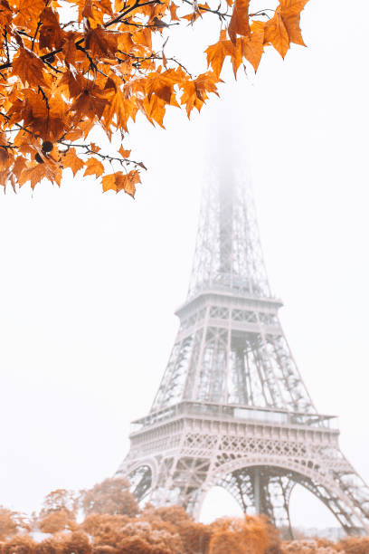 Eiffel Tower in the fog in autumn - romantic view - vertical format