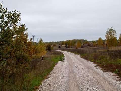 a rural road of gravel on a cloudy day, in autumn