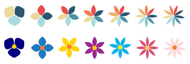 ilustrações, clipart, desenhos animados e ícones de formas de flores com diferentes números de pétalas, podem ser usadas como elemento infográfico com três a nove opções - petal