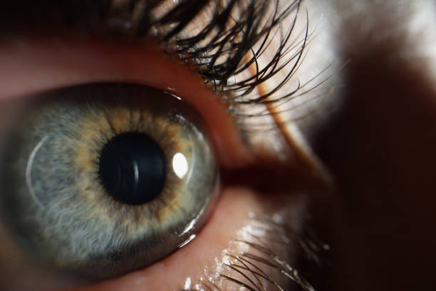 istock Female eye with black painted eyelashes closeup 1368169114
