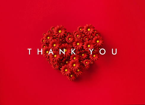 Thank You message over a red heart shaped by red daisies on red background. Horizontal composition with copy space. Directly above. Thank You concept.