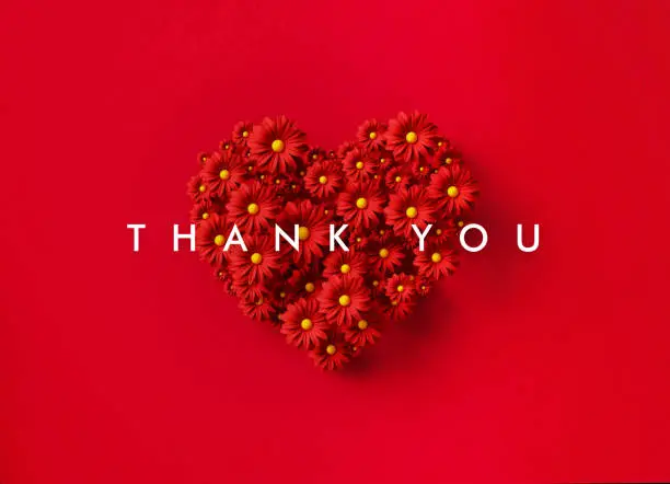 Photo of Thank You Concept - Thank You Message Over A Heart Shaped  By Red Daisies Over Red Background