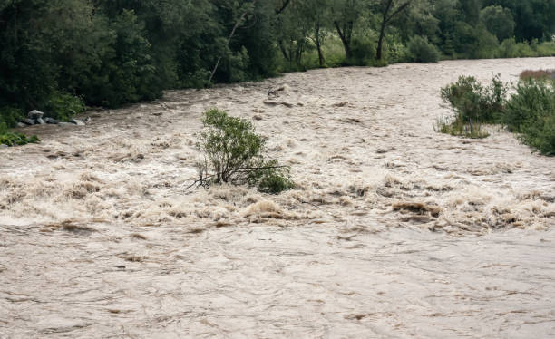 istock Dirty flood water flowing rapidly in river, trees flowing over strong current 1368172631