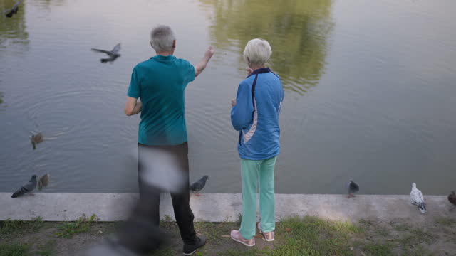 Wide shot happy senior man and woman feeding ducks and pigeons flying around. Back view loving Caucasian couple of retirees enjoying spring summer leisure at lake in park outdoors. Lifestyle concept.
