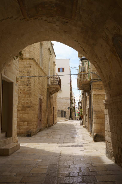 istock Molfetta, historic city  in Apulia 1368174689