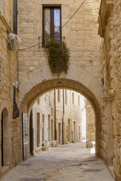 istock Molfetta, historic city  in Apulia 1368174767