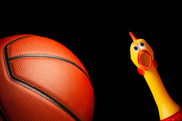 image of basketball rubber chicken dark background