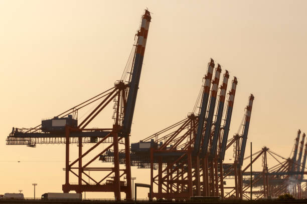 istock Shipyard Cranes at Sunset, Hamburg Harbor, Germany 1368177033