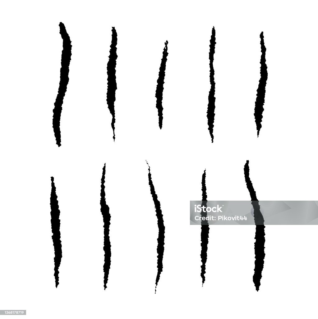 Animal Scratch Reference Animal Scratches Set Stock Illustration - Download Image Now - Animal ...