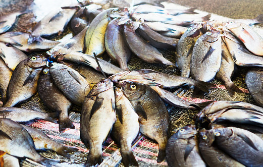 Fresh from the ocean, many line fish lie bundled on the quayside at Kalk Bay, Cape Town, South Africa.