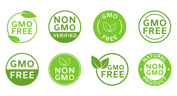 Non GMO labels. GMO free icons. Organic cosmetic. Healthy food concept. No GMO design element for tags, product packag, food symbol, emblem, sticker. Eco, vegan, bio. Green leaves.Vector illustration.