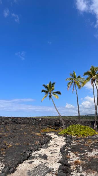 istock Beautiful Nature Shots In Hawaii 1368185476