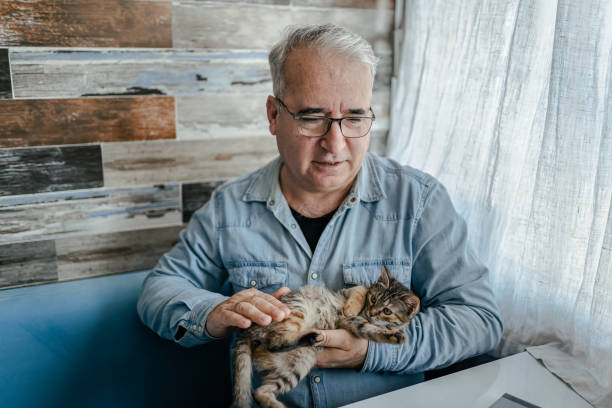 istock Senior man working at home on laptop with his cat 1368188551
