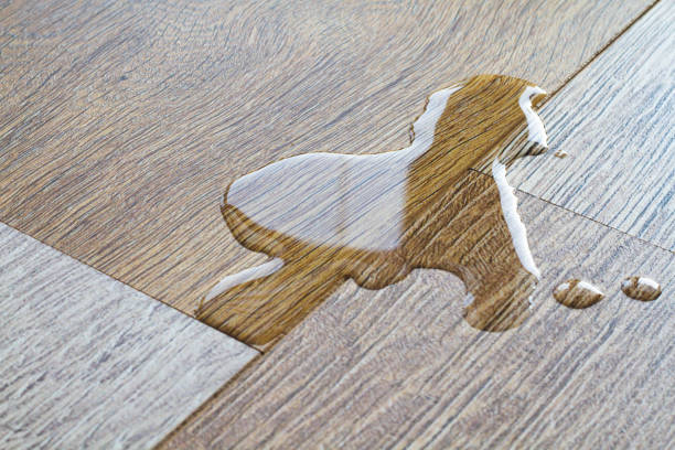 istock Laminate and water. Wooden floors are impervious to moisture. 1368189971