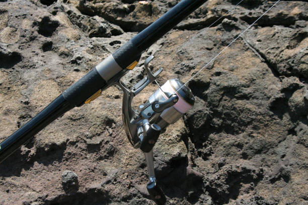 Rod and reel settled,\n ready to fish. Rough rocky shore background. This photo shows a set of fishing rods and reels on the shore with the rock face in the background.