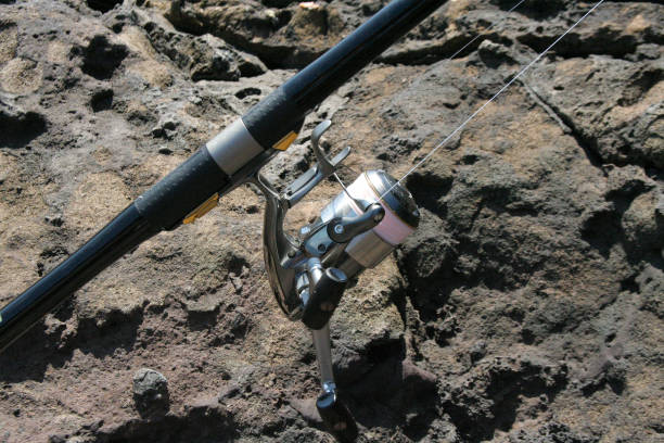 Rod and reel settled,
 ready to fish. Rough rocky shore background. Rod and reel settled,
 ready to fish. Rough rocky shore background. This photo shows a set of fishing rods and reels on the shore with the rock face in the background. sea fishing stock pictures, royalty-free photos & images