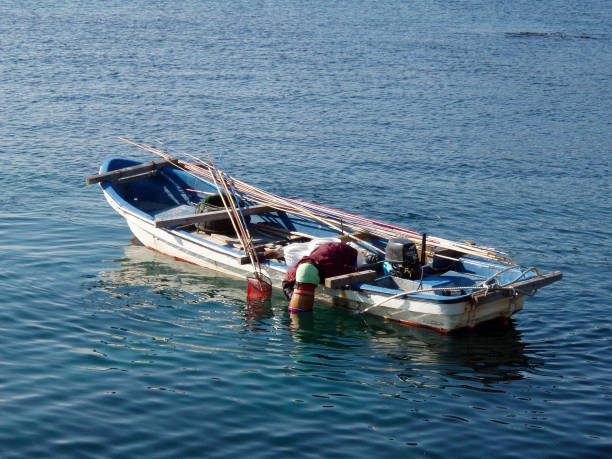 Japanese local fisherman, hooking shellfish like awabi, uni, seaweed, from the bottom of the sea. Japanese local fisherman, hooking shellfish like awabi, uni, seaweed, from the bottom of the sea. Landscape photo of a fisherman's boat catching shellfish and seaweed with box glasses on a sunny winter day. rowing boat fishing stock pictures, royalty-free photos & images