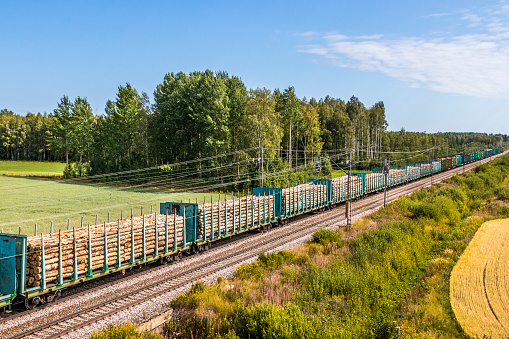 Scandinavia, trainload of harvested cut timber on way to mill passing farmland and stand of plantation trees
