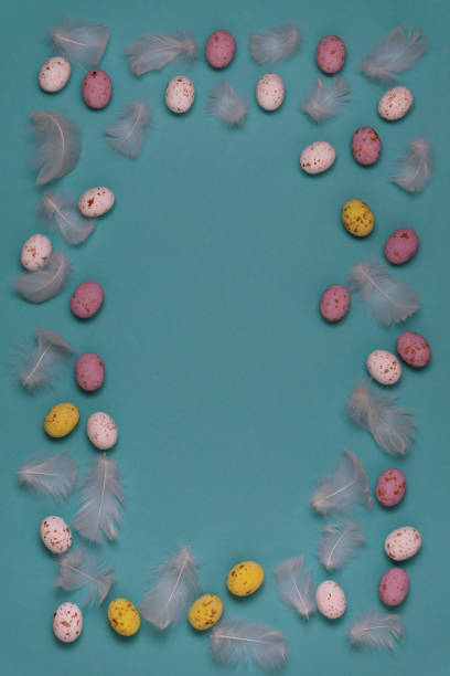 ovos de chocolate amarelos, brancos e rosas para a celebração da páscoa. - eggs animal egg celebration feather - fotografias e filmes do acervo